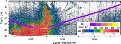 Inter-Comparison of the Spatial Distribution of Methane in the Water Column From Seafloor Emissions at Two Sites in the Western Black Sea Using a Multi-Technique Approach